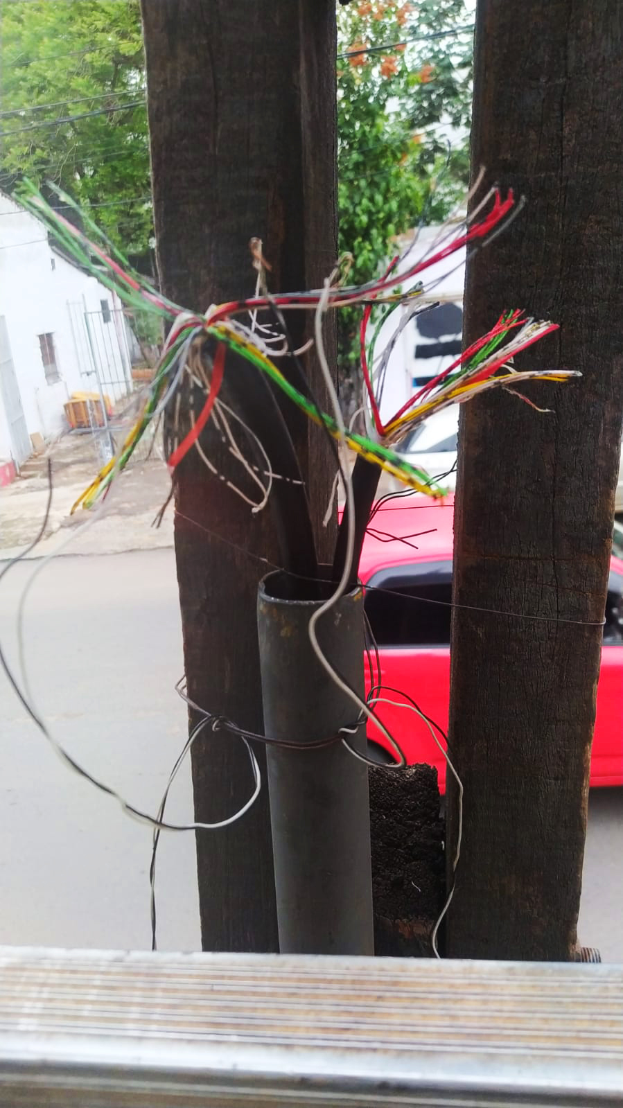 GACETILLA SAN LORENZO 3